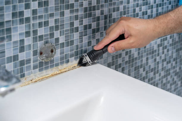 Best Mold Inspection  in Justice, IL