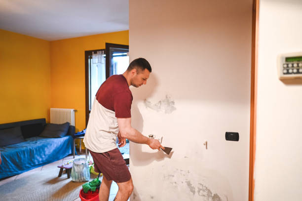 Best Office Mold Removal Services  in Justice, IL